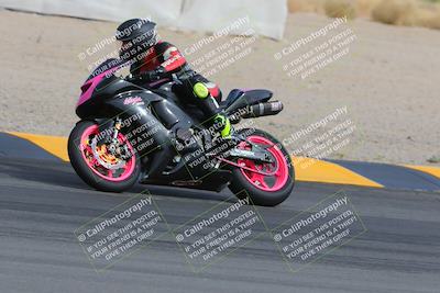 media/Mar-11-2023-SoCal Trackdays (Sat) [[bae20d96b2]]/Turn 11 (940am)/